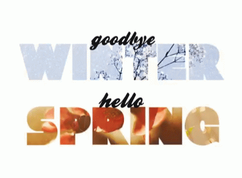 A White Background With The Words Goodbye Winter Hello Spring GIF