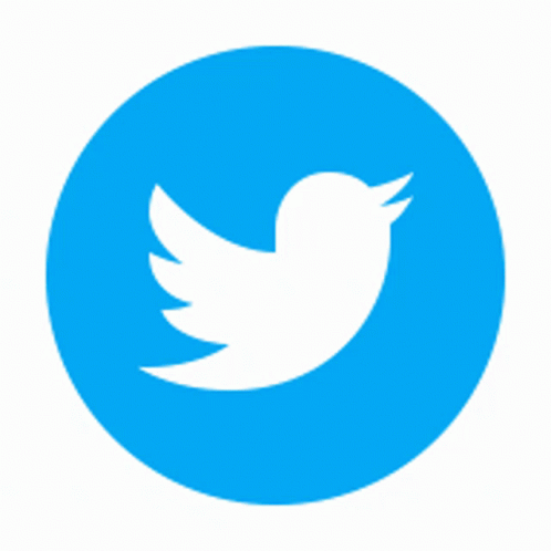 A White Bird In A Blue Circle On A White Background . GIF