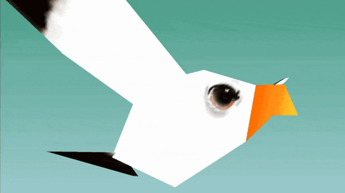 A White Bird With An Orange Beak Is Flying In The Blue Sky GIF