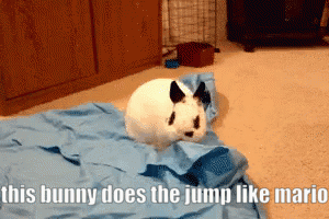 a white bunny laying on a blue blanket with a caption that says this bunny does the jump like mario