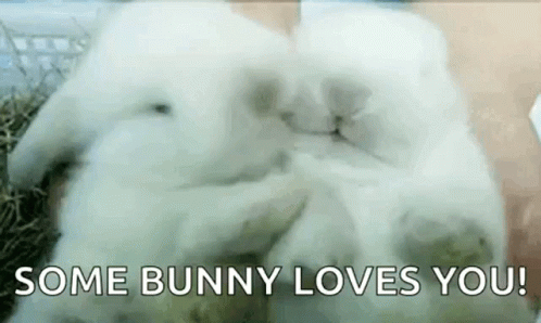 A White Bunny Rabbit Is Sitting On Top Of A Pile Of Hay With The Words `` Some Bunny Loves You '' . GIF