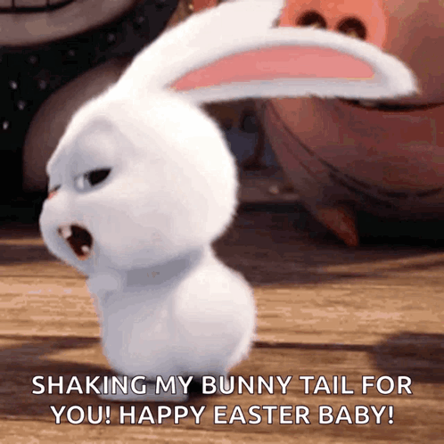 A White Bunny Says Shaking My Bunny Tail For You ! Happy Easter Baby GIF