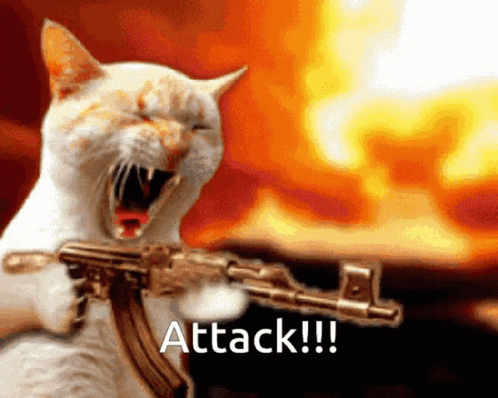 A White Cat Holding A Gun With The Words Attack Written Below It GIF