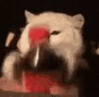 A White Cat Is Drinking Water From A Bottle With A Heart On Its Nose . GIF