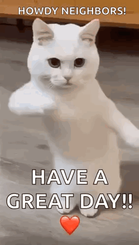 A White Cat Is Giving A Middle Finger And Says `` Howdy Neighbors ! Have A Great Day !! '' GIF