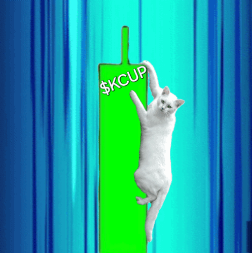 A White Cat Is Hanging On A Green Sign That Says $Kcup GIF