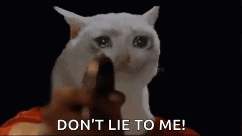 A White Cat Is Holding A Gun In Front Of It And Says `` Do N't Lie To Me '' . GIF