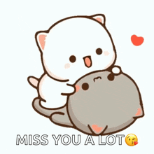 A White Cat Is Hugging A Gray Cat With The Words `` Miss You A Lot '' . GIF