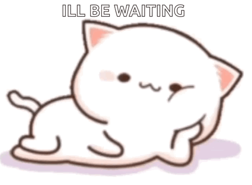 A White Cat Is Laying Down With The Words `` Ill Be Waiting '' Written On It . GIF