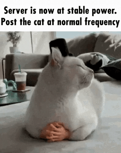 A White Cat Is Laying On A Couch With A Toy Hand On Its Feet . GIF