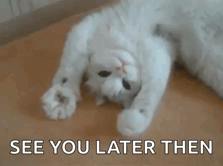 A White Cat Is Laying On Its Back On A Wooden Floor And Says `` See You Later Then '' . GIF