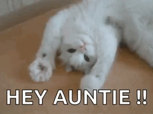 A White Cat Is Laying On Its Back On A Wooden Floor With The Words Hey Auntie Written Above It . GIF