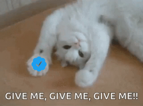 A White Cat Is Laying On Its Back With The Words Give Me Give Me Give Me Written Below It GIF