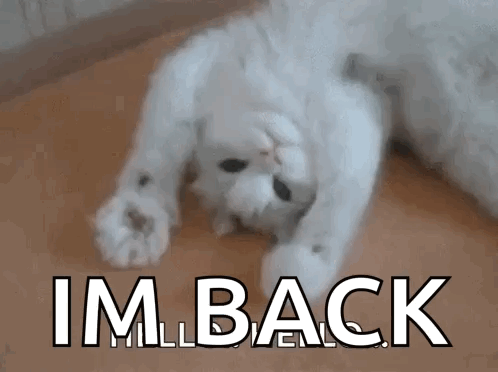 A White Cat Is Laying On Its Back With The Words Im Back Written Below It GIF