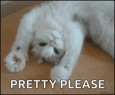 A White Cat Is Laying On Its Back With The Words `` Pretty Please '' Written Below It . GIF