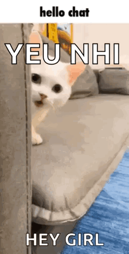 A White Cat Is Peeking Out From Behind A Couch And Saying Hello Chat Yeu Nhi Hey Girl GIF