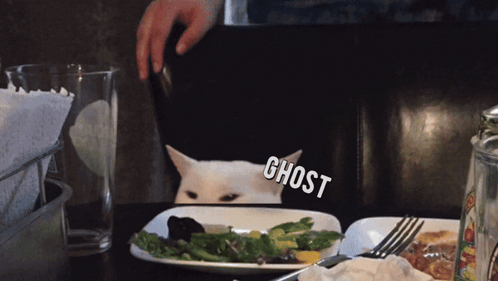 A White Cat Is Sitting At A Table With A Plate Of Food And A Ghost Sticker On It GIF