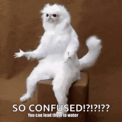 A White Cat Is Sitting On A Box And Says So Confused GIF
