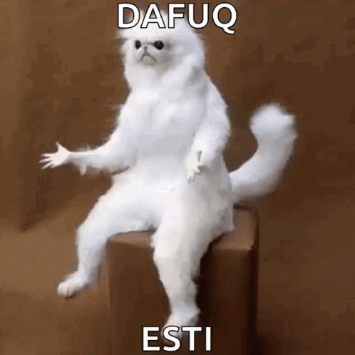 A White Cat Is Sitting On A Box With The Words Dafuq Esti Written On It . GIF