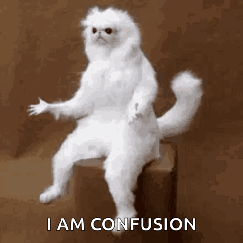 A White Cat Is Sitting On A Box With The Words " I Am Confusion " Above It GIF