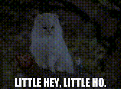 A White Cat Is Sitting On A Tree Branch With The Words Little Hey Little Ho Below It GIF