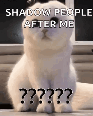 A White Cat Is Sitting On The Floor With The Words `` Shadow People After Me '' Written Above It . GIF