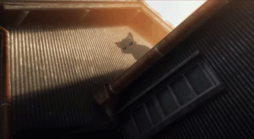 A White Cat Is Sitting On The Roof Of A Corrugated Metal Building GIF