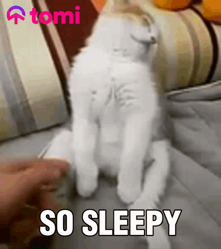 A White Cat Is Sleeping On A Bed With The Words So Sleepy Written Above It GIF