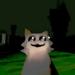 A White Cat Is Smiling And Looking At The Camera While Standing On A Green Field . GIF