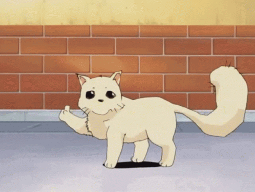 A White Cat Is Standing In Front Of A Brick Wall And Giving The Middle Finger GIF