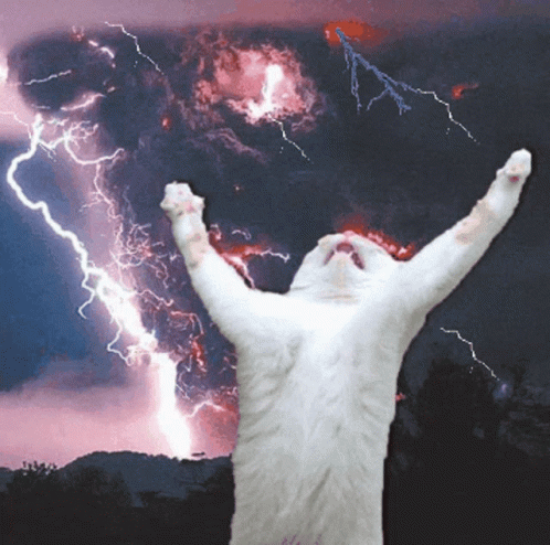 A White Cat Is Standing In Front Of A Lightning Storm With Its Arms In The Air GIF