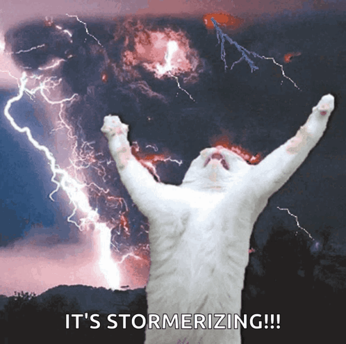 A White Cat Is Standing In Front Of A Lightning Storm With The Words " It 'S Stormerizing " GIF