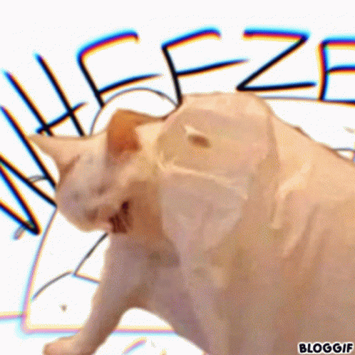 A White Cat Is Standing In Front Of A Sign That Says ' Bloggif ' GIF