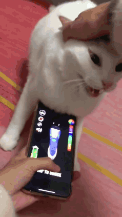 A White Cat Is Standing Next To A Person Holding A Cell Phone With A Flashlight On The Screen GIF