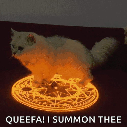 A White Cat Is Standing On A Glowing Circle With The Words Queefa I Summon Thee Below It GIF