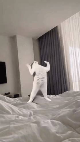 A White Cat Is Standing On Its Hind Legs On Top Of A Bed . GIF