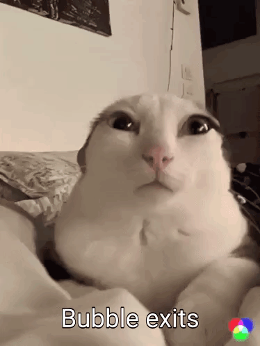 A White Cat Laying On A Bed With The Words " Bubble Exits " Written On The Bottom GIF