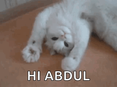A White Cat Laying On Its Back With The Word Hi Abdul Written On The Bottom GIF