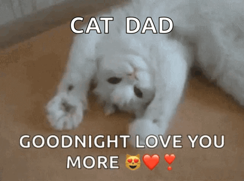 a white cat laying on its back with the words cat dad goodnight love you more above it