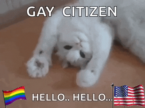 a white cat laying on the floor with the words gay citizen written above it