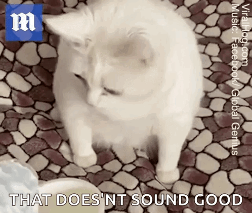 A White Cat Standing On A Tiled Floor With The Words That Does Nt Sound Good GIF