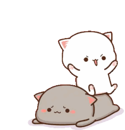 a white cat standing on top of a grey cat
