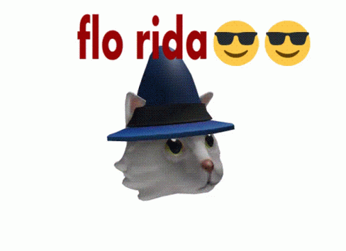 A White Cat Wearing A Blue Hat With The Words Flo Rida Written Above It GIF