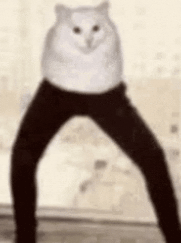 A White Cat Wearing Black Pants Is Standing On Two Legs . GIF