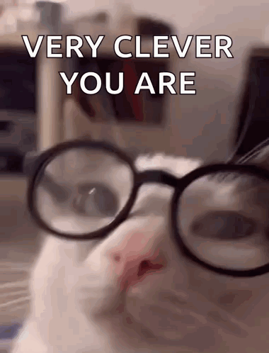 A White Cat Wearing Glasses With The Words Very Clever You Are On The Bottom GIF