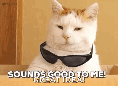 A White Cat Wearing Sunglasses Is Sitting At A Table And Says `` Sounds Good To Me ! Great Idea ! '' GIF