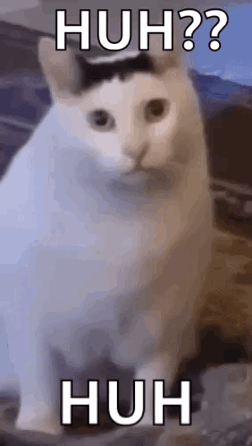 A White Cat With A Black Spot On Its Head Is Sitting On A Couch With The Words `` Huh ? '' Written On It . GIF