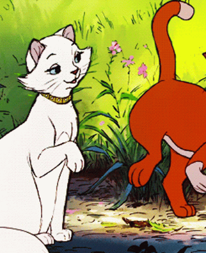 A White Cat With A Gold Collar Stands Next To A Red Cat GIF