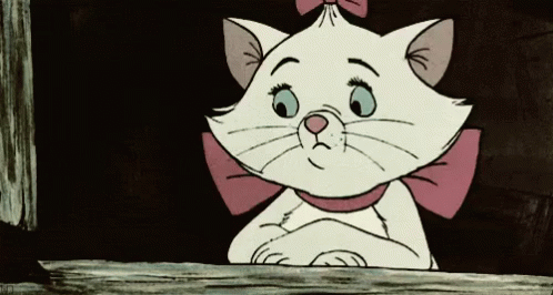 A White Cat With A Pink Bow On Its Head Is Looking Out A Window GIF