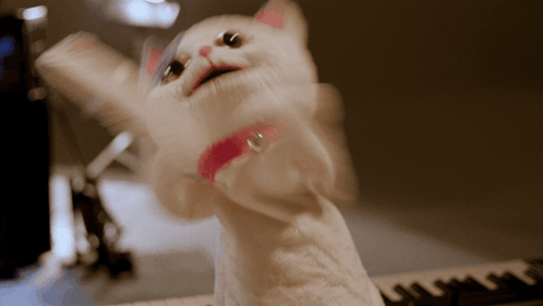 A White Cat With A Pink Collar Is Standing On A Keyboard GIF